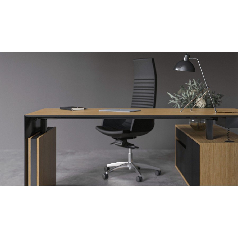 Motion Executive Desk